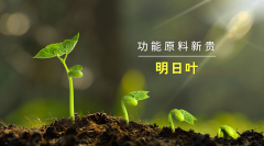 李時珍:明日葉含有類黃酮、膽堿、香豆素等多種活性成分